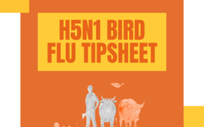 H5N1 Bird Flu Tipsheet